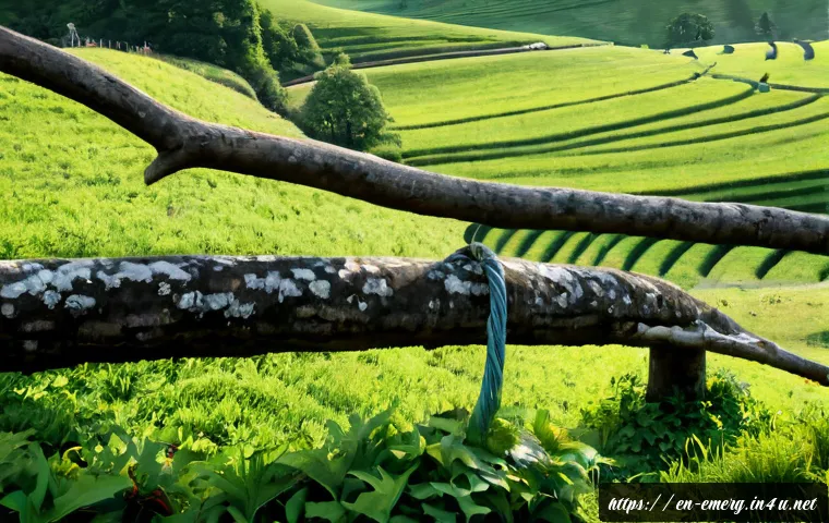 Career Change Paths for Occupational Therapists: Realistic Options, Training Needs, and Cost Considerations 4 작업치료사의 직무 변경 사례 관련 이미지 2
